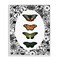 Stupell Industries Floral Border Butterfly Lineup Framed Giclee, design by Dan Meneely